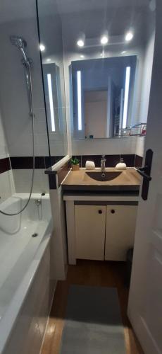 une salle de bain avec un lavabo, une douche et un miroir dans l'établissement Le Paradis d'Ella, à Cannes