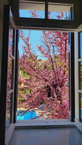 a window view of a tree with pink flowers at AV Suites - Maria in Kariá