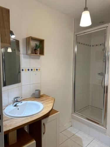 une salle de bain avec un lavabo et une douche dans l'établissement Bel Appart au cœur d Ancenis, Vélos Bienvenue, à Ancenis
