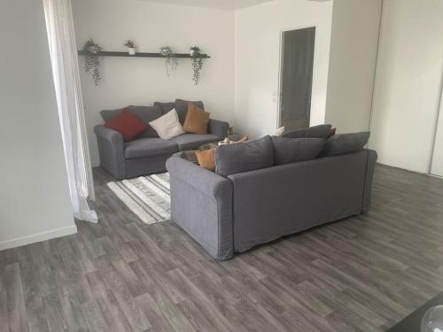 un salon avec deux canapés dans une pièce dans l'établissement Charmant studio, Créteil L'Échat, à Créteil