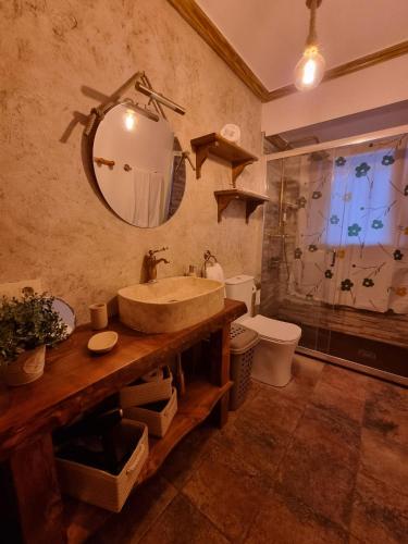 a bathroom with a sink and a toilet and a mirror at Casa rural Cabaña de la Huerta in Navahermosa