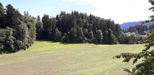 a field with two sheep in a field with trees at Apartment Ina in Bled