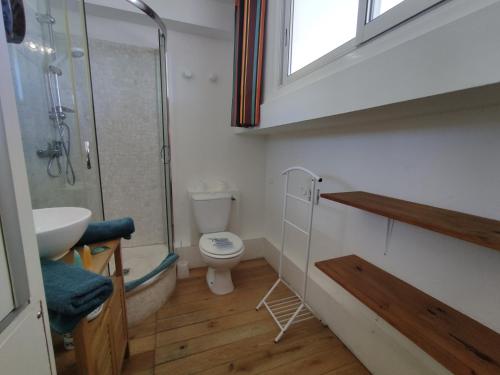 une salle de bain avec une douche, des toilettes et un lavabo dans l'établissement Studio 121 B, Port Nature au village naturiste, au Cap d'Agde