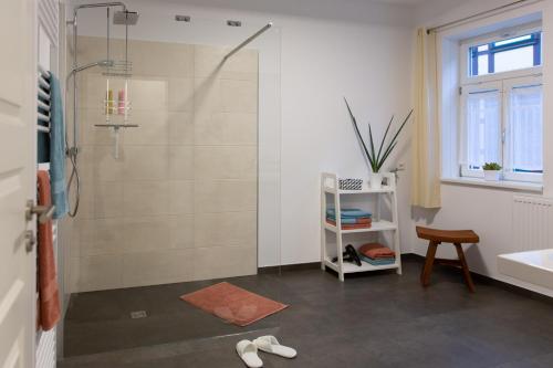 a bathroom with a shower and a sink at Fachwerkfeeling im gesamten EG-hochwertig neu sanierte Fewo im Heideviertel perfekte Innenstadtlage inklusive Parkplatz in Wernigerode