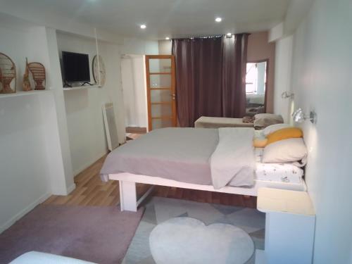 - une chambre avec un grand lit et une télévision dans l'établissement Chez Fernand, à Saint-Pierre-le-Moûtier