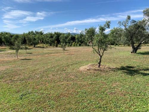 a field with trees in the middle of it at Resort Fonte Vulci in Canino