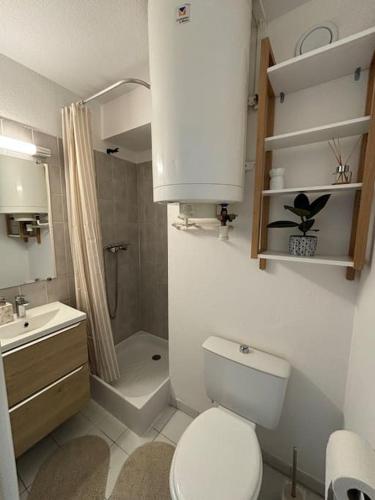 une salle de bain avec toilettes, lavabo et douche dans l'établissement T2 au cœur de la Marina, à Sète