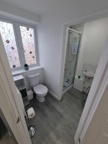 a bathroom with a toilet and a sink and a shower at Howard Road Home from Home in Bridport