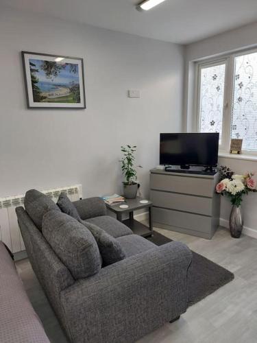 a living room with a couch and a flat screen tv at Howard Road Home from Home in Bridport