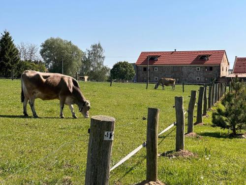 Tiere in der Ferienwohnung oder in der Nähe