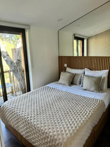 a bedroom with a large bed with a large mirror at maison du olival in Vacalar