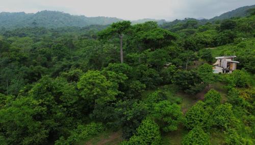 an aerial view of a forest with a house at La Mona Eco Cabins in Palomino