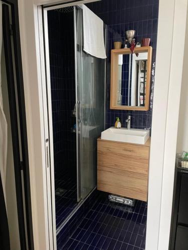 une salle de bain avec une douche, un lavabo et un miroir dans l'établissement Deux pièces lumineux calme, vue sur le ciel !, à Paris