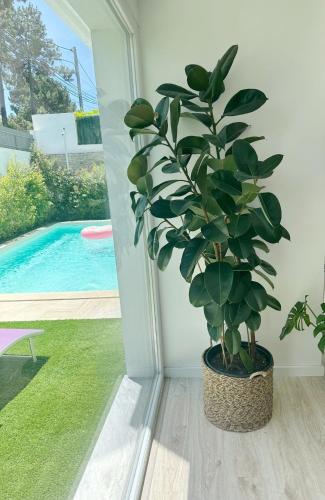 Φωτογραφία από το άλμπουμ του Amora Villa - Relaxing Oasis, 10 mins to beach, near Lisbon σε Amora