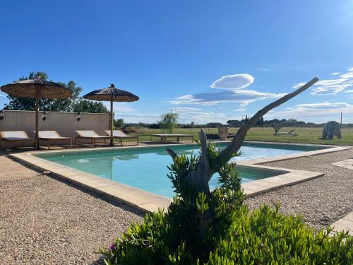 une piscine avec chaises et parasols dans une cour dans l'établissement Lodge Sainte Sara, à Aigues-Mortes
