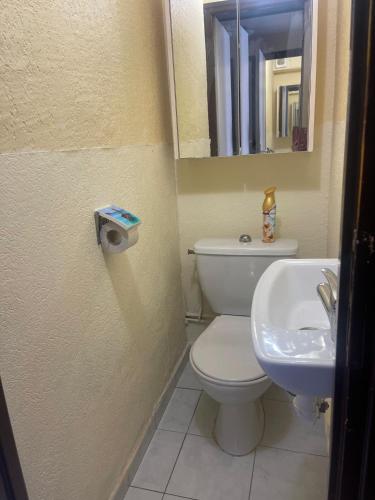 une salle de bain avec toilettes et lavabo dans l'établissement Villa in Heliovillage, Naturiste Village, South of France, au Cap d'Agde