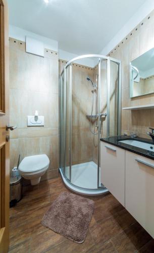 a bathroom with a shower and a toilet and a sink at Residenz Ambassador B13 mit Wellness-Fitness in Leukerbad