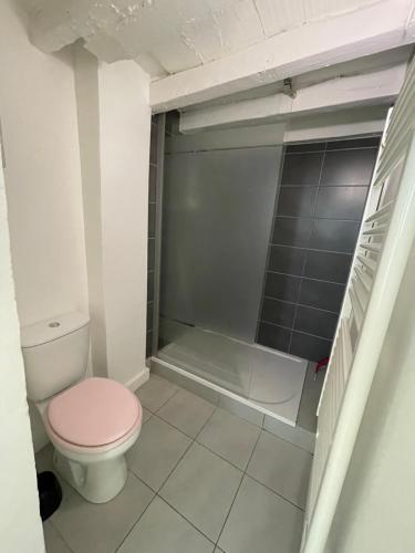 une salle de bain avec des toilettes roses et une douche dans l'établissement Coeur de ville AVIGNON, à Avignon
