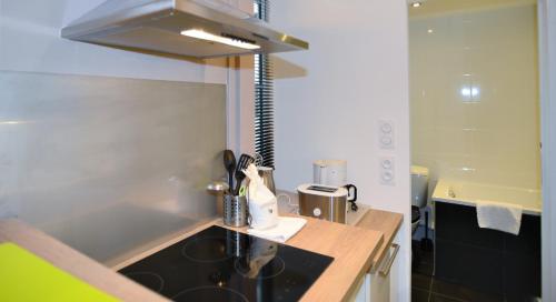 a kitchen with a sink and a counter top at Appart' République in Lyon
