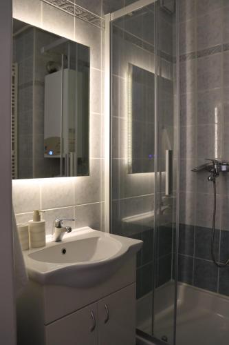 a bathroom with a sink and a shower with a mirror at Studio apartman Zubak in Ðakovo