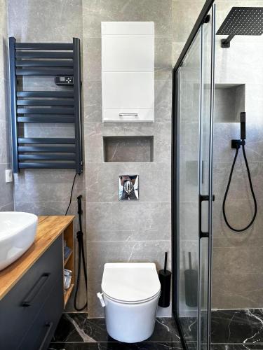 une salle de bain avec toilettes et douche en verre dans l'établissement Chic Renovated 2 Bedroom entire apartment or only Private Rooms in Liberation in Nice with Garage on demand, AC, Wi-Fi and Tram Access, à Nice