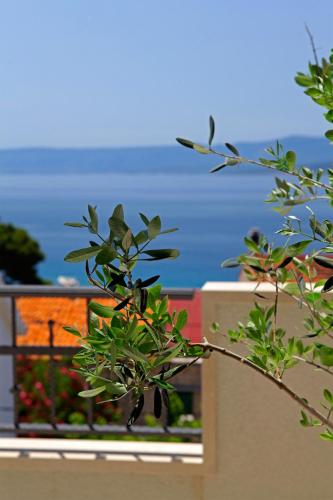 a view of the ocean from a balcony with a plant at Penthouse Vanja in Bol