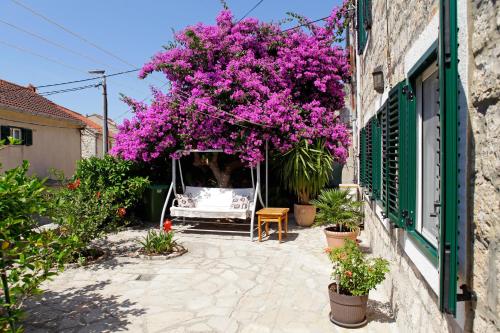 a flowering tree with purple flowers in a courtyard at Penthouse Vanja in Bol