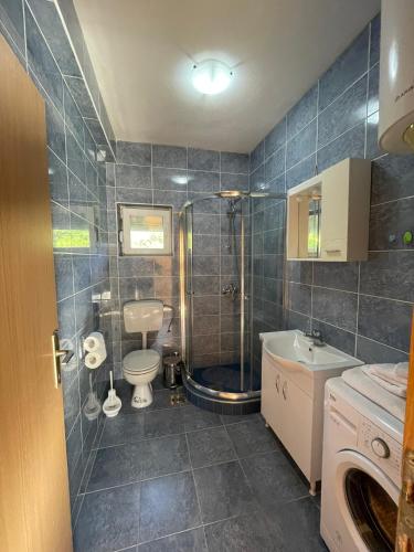 a bathroom with a shower and a toilet and a sink at Apartments Simic in Kamenari