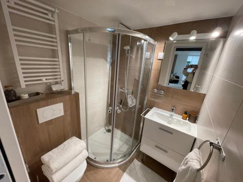 ein Badezimmer mit Dusche und Waschbecken in der Unterkunft Eiffel Tour Cosy Jade in Paris