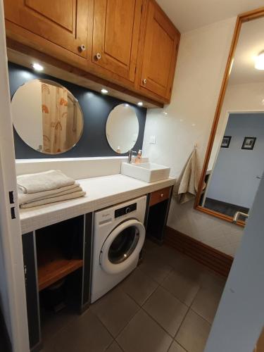 une salle de bain avec une machine à laver et un lavabo dans l'établissement Lumineux confort proxImité métro Lyon, à Villeurbanne