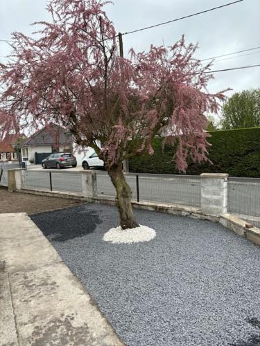 a tree with pink flowers on top of gravel at Gîte du Vieux Puits in Merlimont