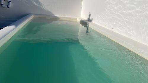 un uccello seduto sul bordo della piscina di Wine under the Stars a Reguengos de Monsaraz