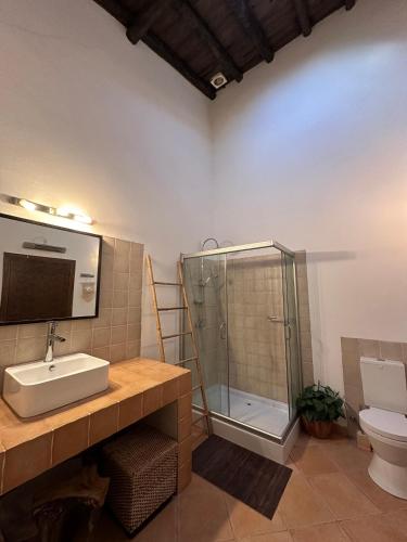 a bathroom with a shower and a sink and a toilet at Wine under the Stars in Reguengos de Monsaraz