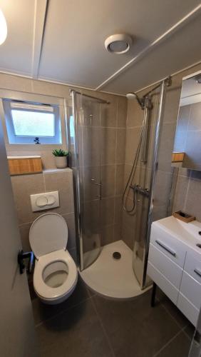 a small bathroom with a toilet and a shower at Chalet Joy aan Zee in Hollum