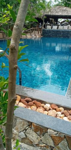 a blue swimming pool with a tree next to it at Cinnabar Resort in Tangalle