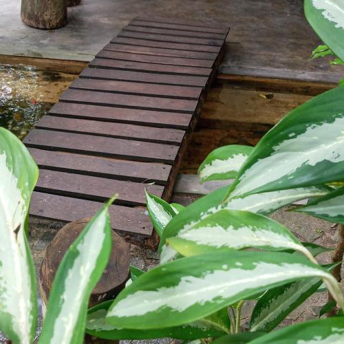 a wooden walkway in a garden with green plants at Cinnabar Resort in Tangalle