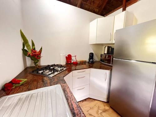 a kitchen with white cabinets and a stainless steel refrigerator at Enoha Lodge - Climatisation, Fibre, Accès Plage, Parking Privé in Haapiti