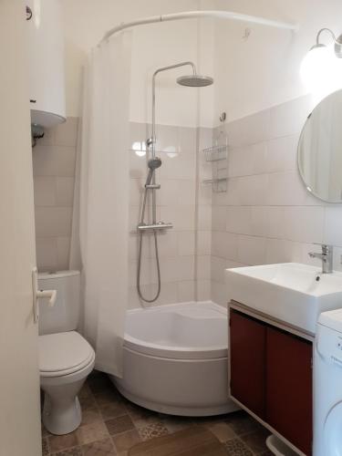 a bathroom with a shower and a toilet and a sink at Friendly Place on Peldu Street in Liepāja