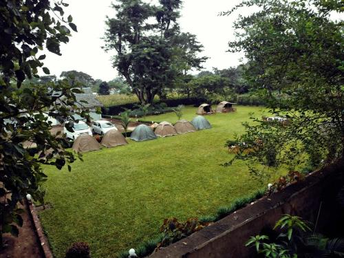 Сад в Charming Eco-Homestay near Kilimanjaro International Airport