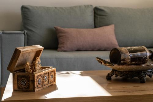 a living room with a couch and a table with a box and a book at Evelyn Villa Crete in Tsoútsouros