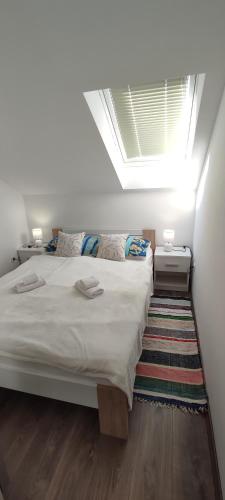 a bedroom with a large bed with a skylight at Apartman BS in Velika Gorica