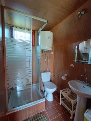 a bathroom with a shower and a toilet and a sink at Domki Letniskowe u Karola in Solina