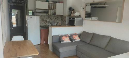 un salon avec un canapé et une cuisine dans l'établissement Appartement 2 pièces Port-Camargue - Le Grau-du-Roi, Plage Sud, au Grau-du-Roi