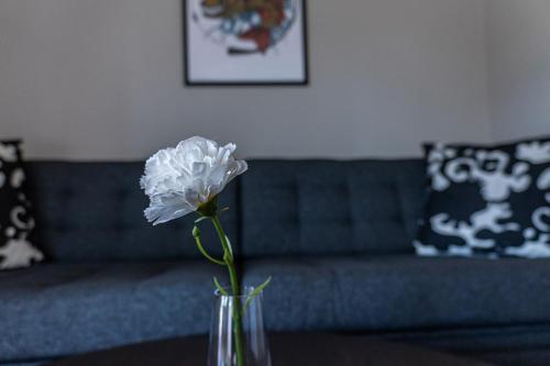 a vase with a white flower on a table in a living room at Perchlodge in Mönsterås