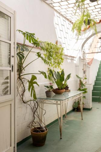 Fotografie z fotogalerie ubytování Chez Zany Boutique Hostel - Santa Teresa v destinaci Rio de Janeiro