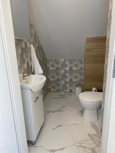 a bathroom with a sink and a toilet at Biebrzańska Przystań 1 in Goniadz