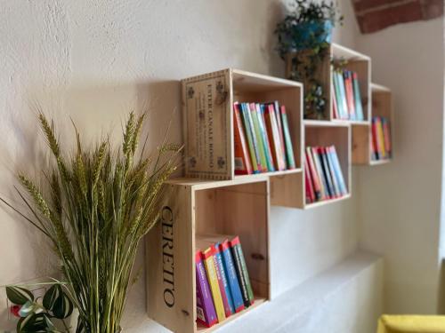 three wooden book shelves on a wall with books at Cascina Mabette in Farigliano