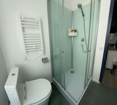 une salle de bain avec toilettes et douche en verre dans l'établissement Appartement entier cosy, à Rouen
