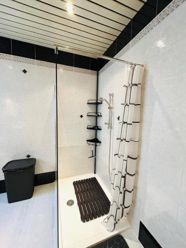 a bathroom with a shower and a toilet at Pamper Rooms in Pembroke 