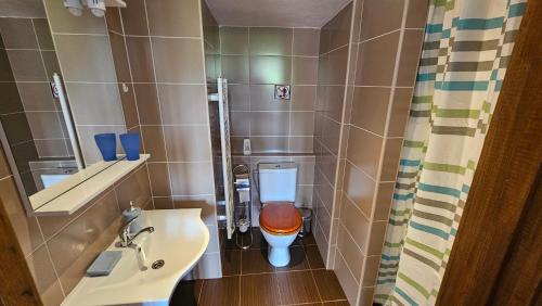 a small bathroom with a toilet and a sink at Mala Narnia in Frymburk
